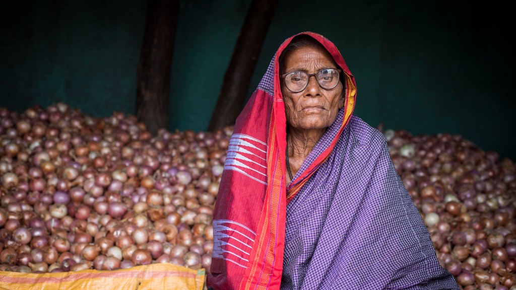 She sits in the hall every afternoon guarding the onions from rain and dust. The rates fell that year…